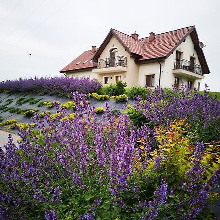 Apartamenty, Zielone Wzgorze Wiktora W Mikolajkach Mikołajki Dış mekan fotoğraf