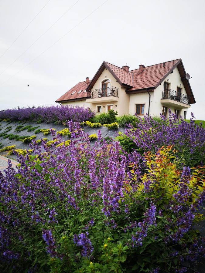 Apartamenty, Zielone Wzgorze Wiktora W Mikolajkach Mikołajki Dış mekan fotoğraf