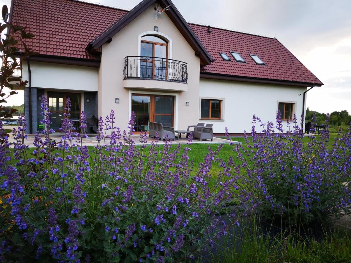 Apartamenty, Zielone Wzgorze Wiktora W Mikolajkach Mikołajki Dış mekan fotoğraf