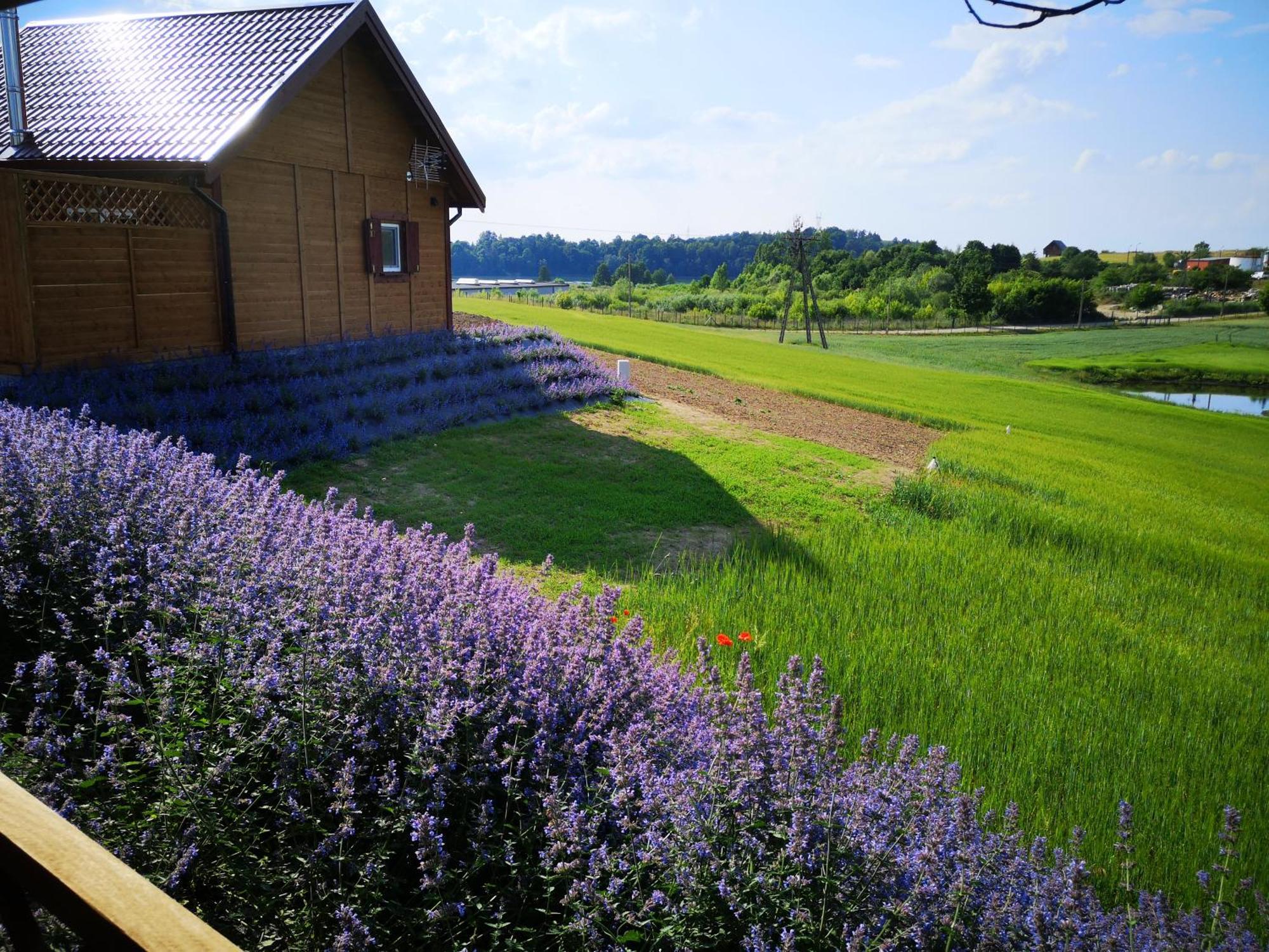 Apartamenty, Zielone Wzgorze Wiktora W Mikolajkach Mikołajki Oda fotoğraf